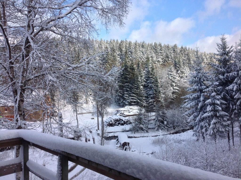 Fwv Chalet 2 Le Scandinave Bullange Kültér fotó