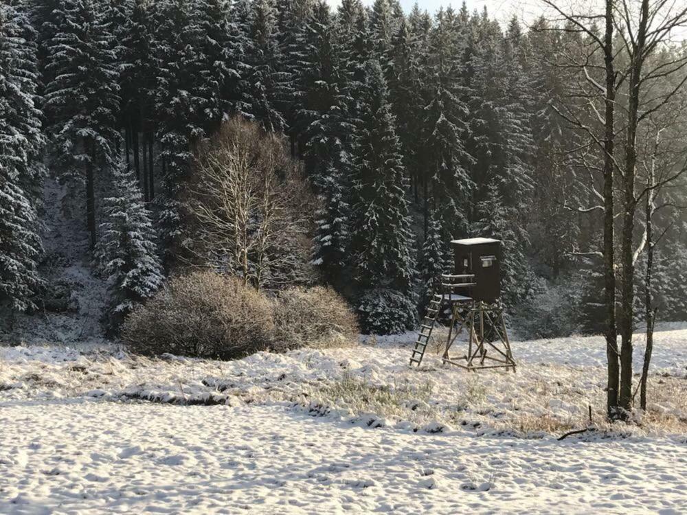 Fwv Chalet 2 Le Scandinave Bullange Kültér fotó